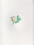 4 1/4 x 5 1/4 Deckle Edge Foldover Note - Pink Wild Rose