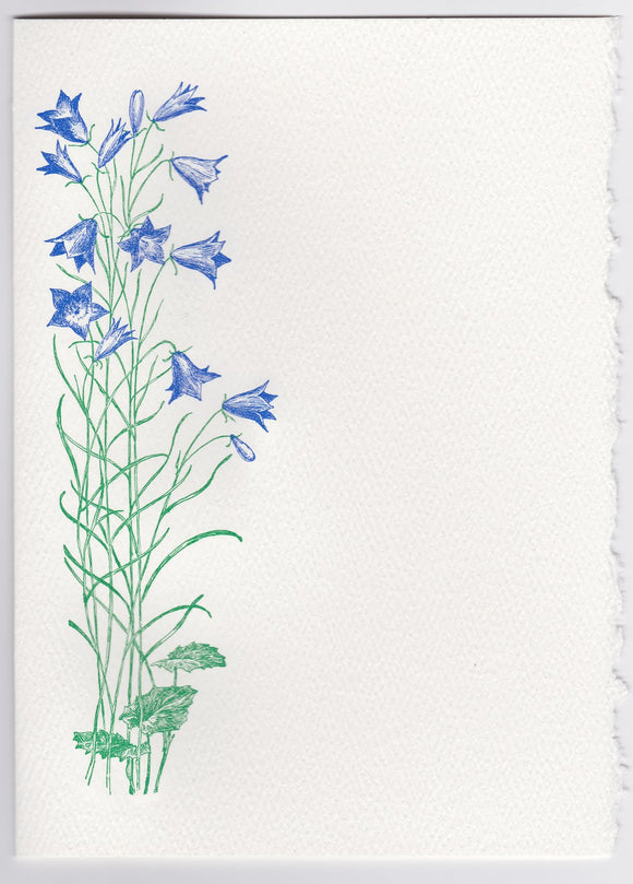 Bluebells Foldover Note -  5 X 7 - DECKLE EDGE