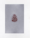 HE 903 HOLIDAY CARD - SILVER RECTANGLE/PINE CONE