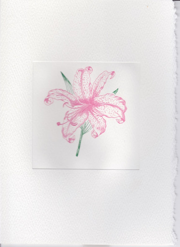 PINK LILY 5 x 7 DECKLE EDGE FOLDOVER NOTE