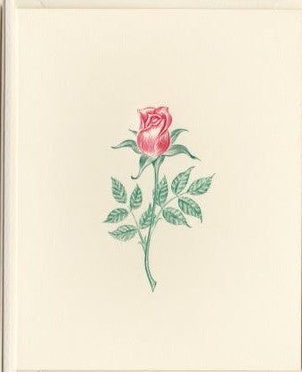 Rose Rose on Ivory